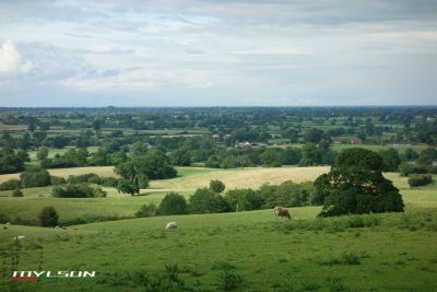 Alsager town Cheshire